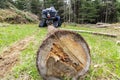 Using quad bike to transport tree trunks