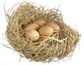 Close-up natural brown chicken eggs lay on a bed of fluffy straw, chicken`s nest with clipping path on white background Royalty Free Stock Photo