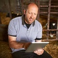 Using technology to run his dairy farm. a male farmer using a tablet while sitting in a barn on his dairy farm. Royalty Free Stock Photo