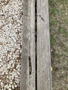 wooden beams over rocks and grass