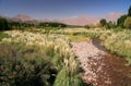 Beautiful Uspallata river valley Royalty Free Stock Photo
