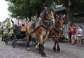 Usseln, Germany - July 30th, 2018 - Carriage drawn by two light brown horses at a parade Royalty Free Stock Photo