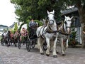 Usseln, Germany - July 30th, 2018 - Carriage drawn by two white horses at a parade Royalty Free Stock Photo