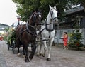 Usseln, Germany - July 30th, 2018 - Carriage drawn by a white and a dark horse at a parade Royalty Free Stock Photo