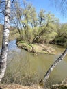 Ussia, Moscow region Protva river in May Royalty Free Stock Photo