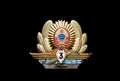 USSR Army officer badges