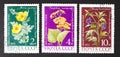 USSR - CIRCA 1979: a series of stamps printed in USSR, shows medicinal plants, CIRCA 1979