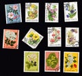 USSR circa 1980: Set of old stamps from the times of the . Isolated stamp on black background. Botanical postage stamps Royalty Free Stock Photo