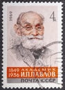 USSR - CIRCA 1968: A stamp printed in Russia shows Ivan Petrovich Pavlov 1849-1936 , Nobel Prize Winner, 1904 Royalty Free Stock Photo