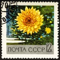 USSR - CIRCA 1969: A stamp printed in USSR Russia shows yellow dahlia with the inscription Leaves Fall Rus. Listopad Royalty Free Stock Photo