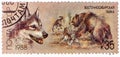 USSR - CIRCA 1988: A stamp printed in USSR, shows East Siberian husky, bear hunt, series Hunting dogs, circa 1988