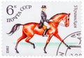 Stamp printed in USSR shows a Ukrainian sports horse for Dressage, series horse breed in a equestrian sport