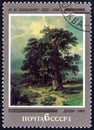 USSR - CIRCA 1982: A stamp printed in USSR from the `150th birth anniversary of Ivan Ivanovich Shishkin` issue shows The Oaks