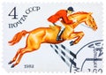 Stamp printed in USSR shows a Donskaya horse, series horse breed in a equestrian sport