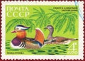 Postage stamp printed in the USSR with the inscription in Russian `Sikhote-Alin reserve` and the image of Mandarin duck