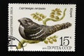 .The USSR postage stamp, Series - Birds - Demonstrators of the Forest, 1979