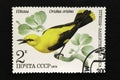 .The USSR postage stamp, Series - Birds - Demonstrators of the Forest, 1979