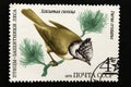 .The USSR postage stamp, Series - Birds - Demonstrators of the Forest, 1979