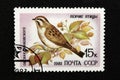 The USSR postage stamp, series - Songbirds, 1981