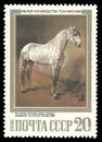 Grey Stallion of Orlov Trotter Breed