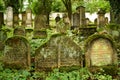 Gravestones in the old Jewish cemetery in Ustek in the Czech Republic