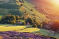 Usual rural England landscape in Yorkshire. Amazing view in the national park Peak District on a sunny day Royalty Free Stock Photo