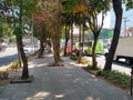 Road, walk or central pavement of a broad avenue or street, generally adorned with trees and plants.