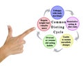 usuccessful Dieting Cycle