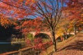 Usui Lake autumn