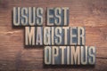 Magister optimus wood Royalty Free Stock Photo