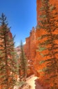 UT-Bryce Canyon National Park