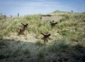 Utah Beach Defence Obstacles