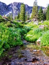 Utah Canyon Hiking Trail towards the Wasatch Mountains Royalty Free Stock Photo