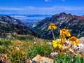 Utah Canyon Hiking Trail towards the Wasatch Mountains Royalty Free Stock Photo