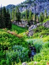 Utah Canyon Hiking Trail towards the Wasatch Mountains