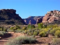 Utah Desert