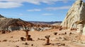 Utah: Grand Staircase Escalante - The Toadstools Area