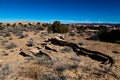 Utah high altitude desert landscape on bright sunny day Royalty Free Stock Photo