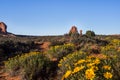 Utah rock formation and wildflowers