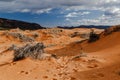 Utah`s pink sand dunes with footprints; mountains in the distance.