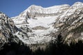 Utah Wasatch Mountain scene of springtime snow and pine trees Royalty Free Stock Photo