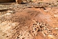 Utah wash after a flash flood Royalty Free Stock Photo