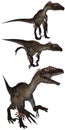 Utahraptor Royalty Free Stock Photo