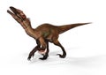 Dinosaurs: Utahraptor with Feathers. 3D Illustration Royalty Free Stock Photo