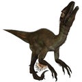 Utahraptor ostrommayorum-3D Dinosaur Royalty Free Stock Photo