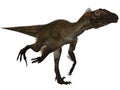 Utahraptor ostrommayorum-3D Dinosaur Royalty Free Stock Photo