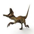 Utahraptor Royalty Free Stock Photo