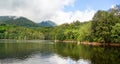 utdoor landscape in a water swamp with trees and mountains