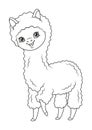 Cute alpaca coloring page. Black and white cartoon illustration