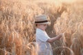 ÃÂ¡ute boy in a straw hat looks at the rye ears in the field Royalty Free Stock Photo